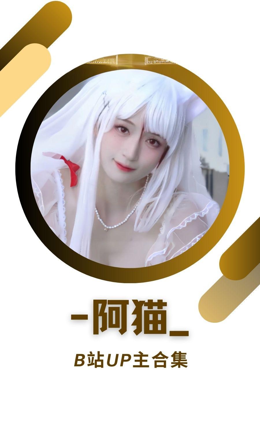 B站「阿猫」作品高质量备份打包