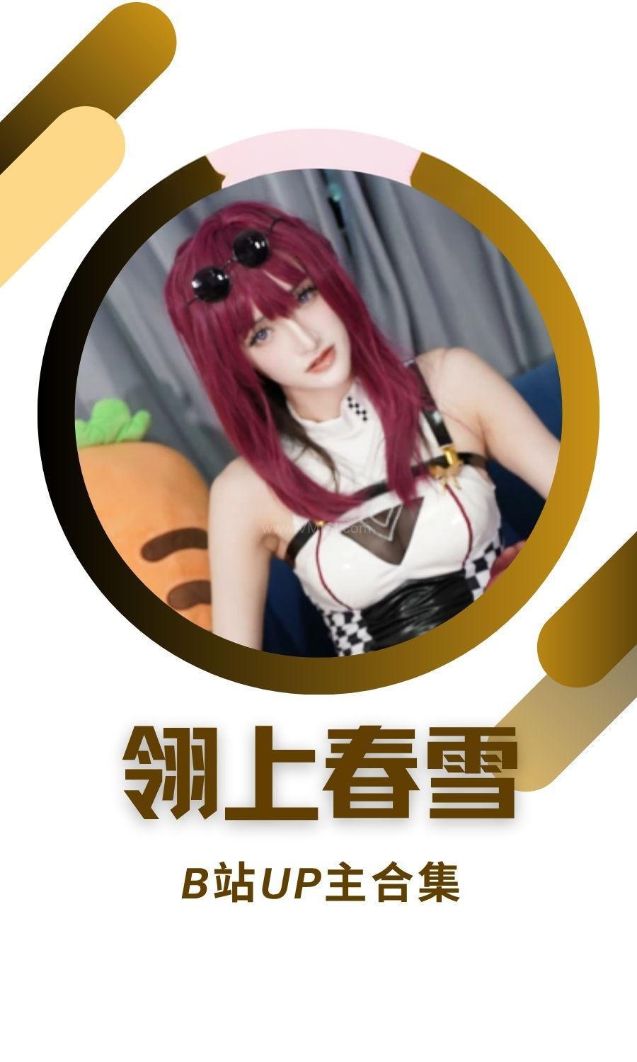 B站「翎上春雪」作品高质量备份打包