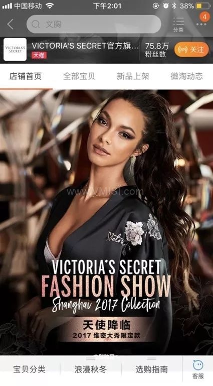 维密猫在线观看,时尚界的神秘魅力，在线观看揭秘