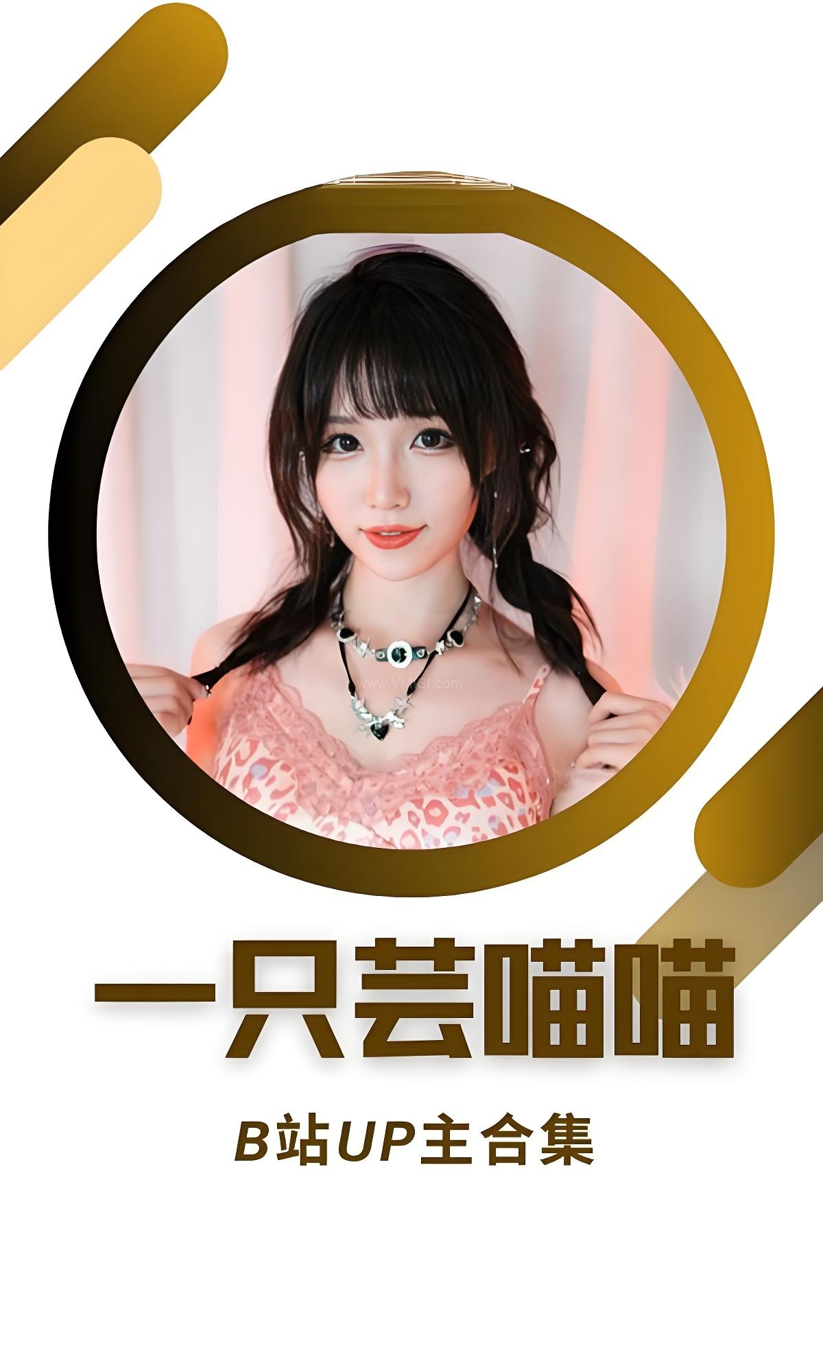 B站「一只芸喵喵」作品高质量备份打包