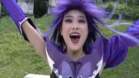 黑魔仙,暗影中的魔法传奇