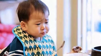 木木ivy,探寻自然与艺术的和谐共鸣