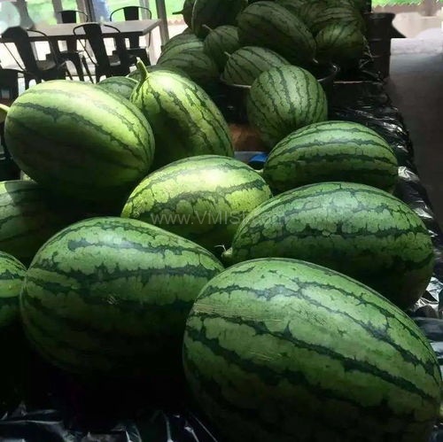 热门今日吃瓜16,揭秘“热门今日吃瓜16”背后的故事与真相