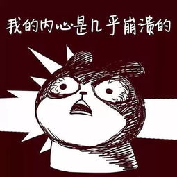 不是小今,深化主题,补充说明主标题内容