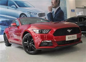 小野马ovo,探寻音乐与时尚的跨界魅力