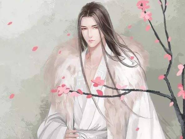 北冥夜煊云倾小说,云倾与北冥夜煊的复仇爱情之旅