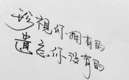 最近很火的经典短句,启迪人生智慧的火花