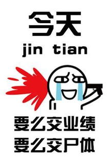 瀛猫微密圈免费,免费体验独特社交新天地