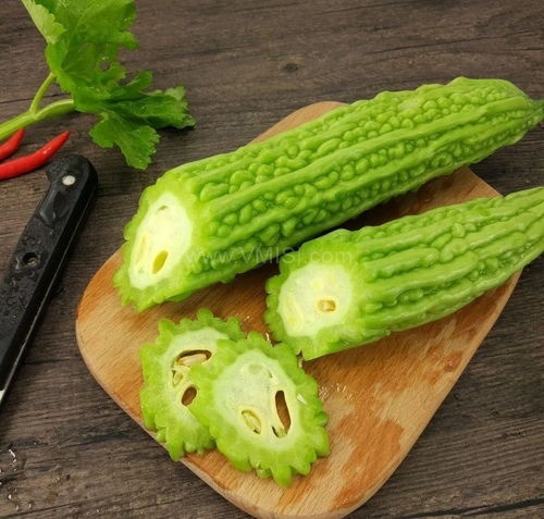 盛阳在线吃瓜,穿越时空的瓜田奇遇