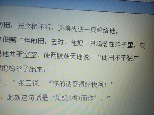 带点颜色的笑话,揭秘颜色笑话中的趣味与智慧”