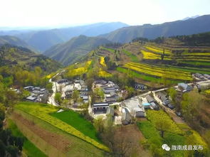 吃瓜成县网红,红岘西瓜变身网红,助力乡村振兴