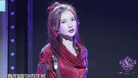 子瑜姐姐,高颜值博主的多面魅力与生活探险之旅