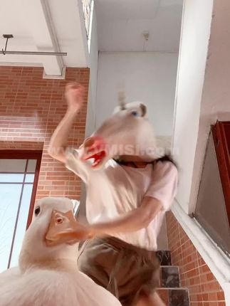 抖音VC的觅圈大揭秘，最新资源获取攻略