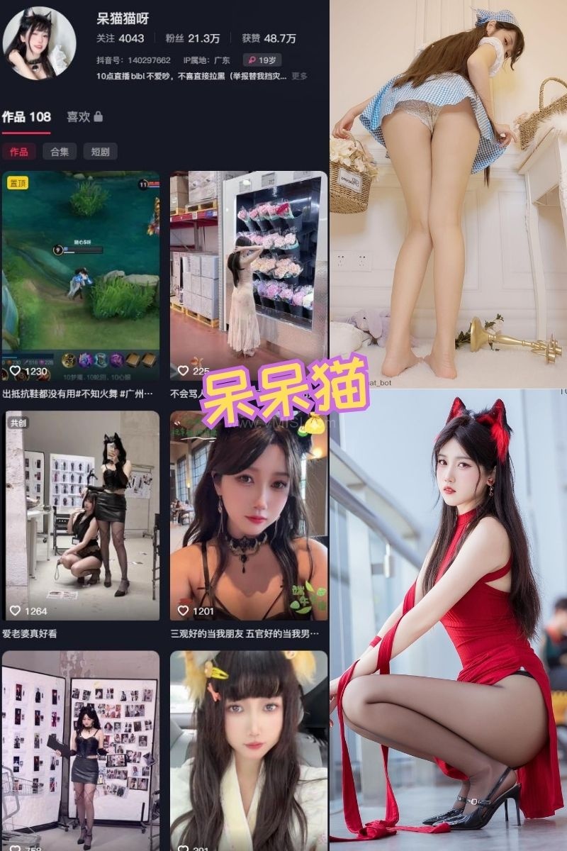 抖音[呆猫猫]铁粉空间全套视图资源合集打包(持续更新)